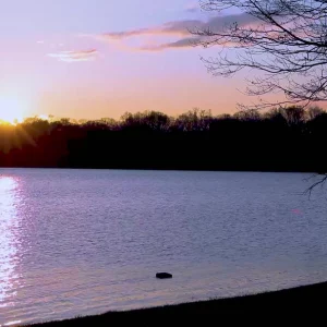 Video 06 - Sunrise 1