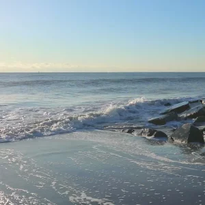 Video 07 - Nature on the Rocks