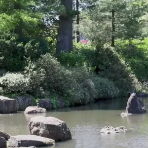 Video 18 - Japanese Center II