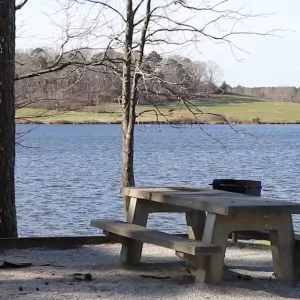 Video 10 - Lake