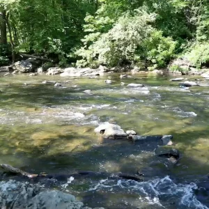 Video 16 - Stream 3