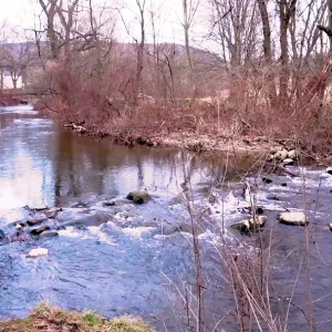 Video 13 - Winter Creek