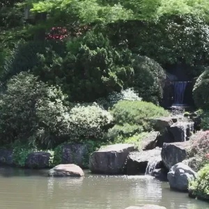 Video 17 - Japanese Center I