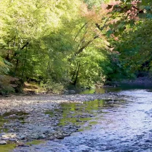 Video 05 - Stream Rocks