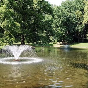 Video 20 - Park Fountain
